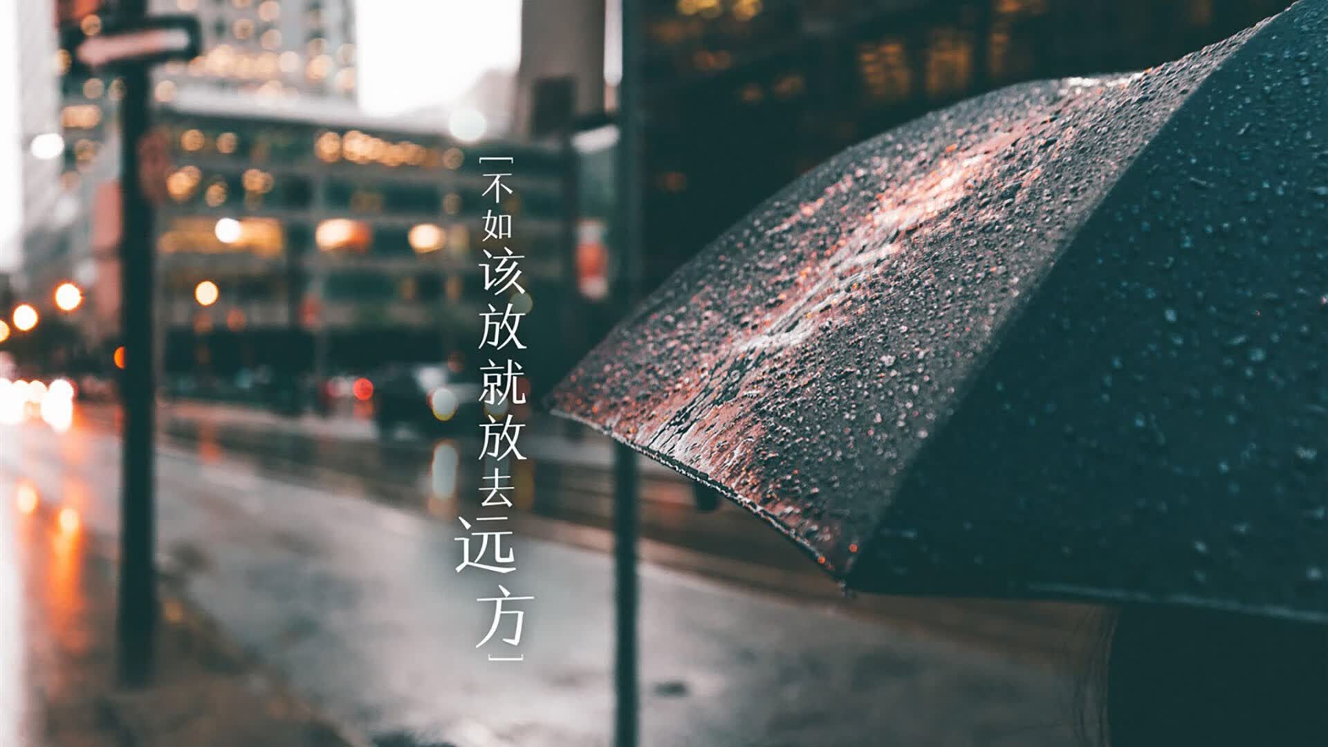 丝绸布料图片黑色(丝绸布料图片黑色)